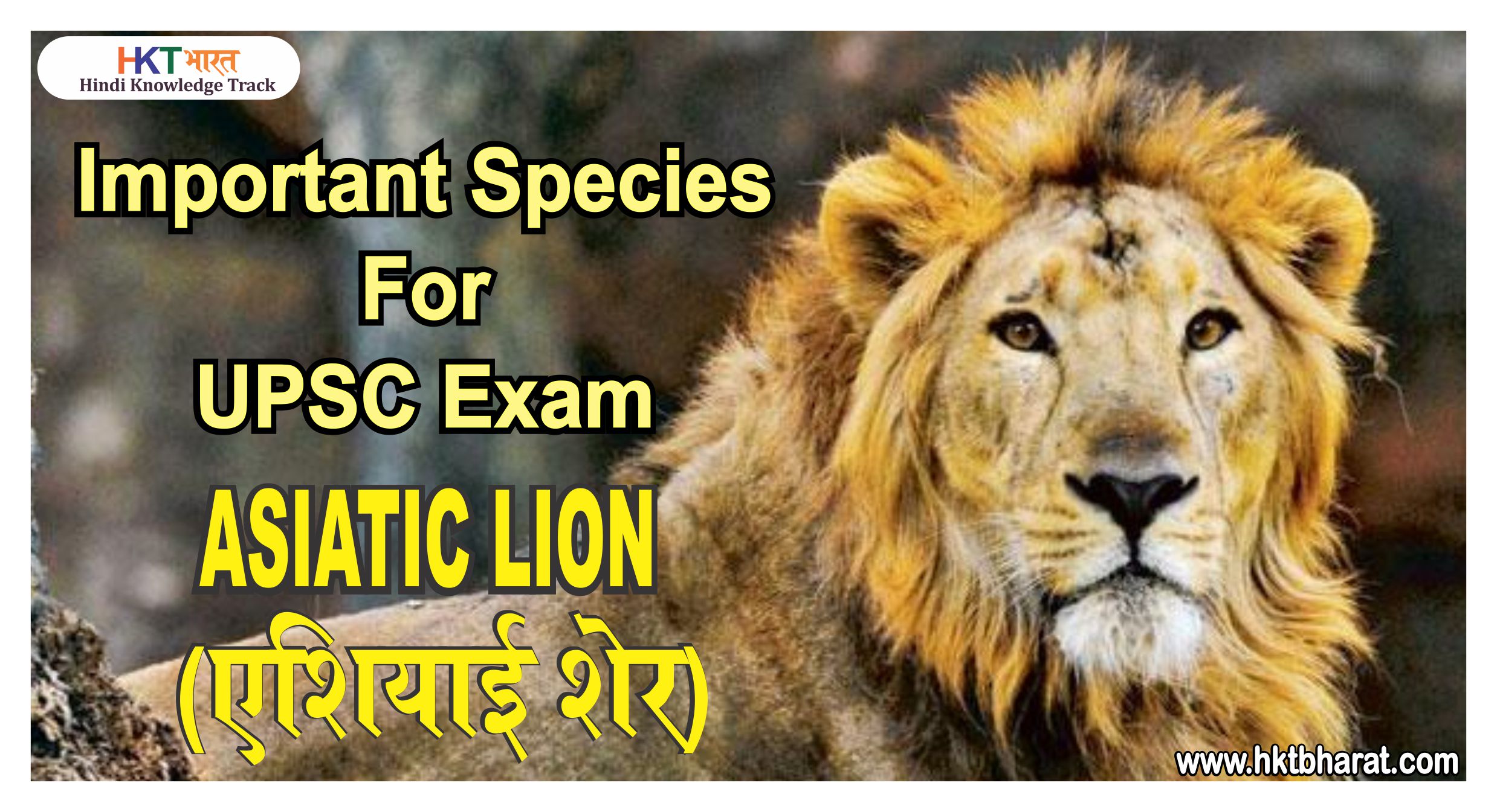 एशियाई शेर / Asiatic Lion – IMPORTANT SPECIES FOR UPSC EXAM IN HINDI